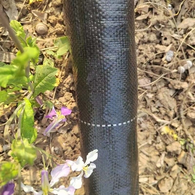 Black Grass Barrier Landscape Ground Fabric Ground Cover Mesh Weed Mat Anti Grass Control Cloth
